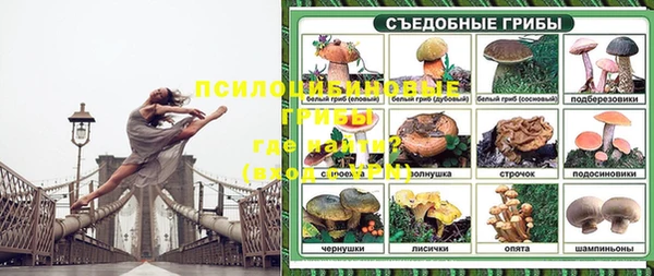 spice Балахна