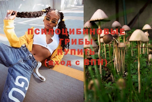 гидра Беломорск