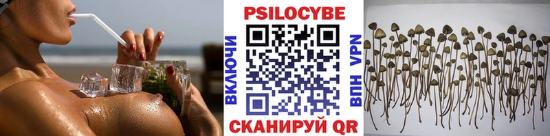 Галлюциногенные грибы Cubensis  купить закладку  Верхняя Тура 